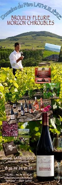 Vignoble Villefranche-sur-Saône Vignoble Villefranche-sur-Saône