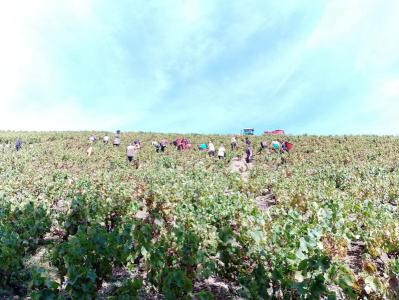 LE DOMAINE DU PERE LATHUILIERE : QUOI DE NEUF EN SEPTEMBRE 2025